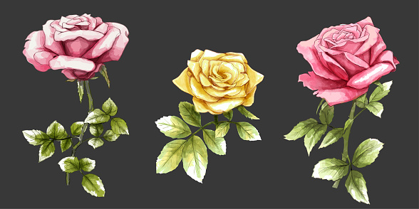 Watercolor vector set of bouquets of green branches and flowers set of bouquets of green branches and flowers.
