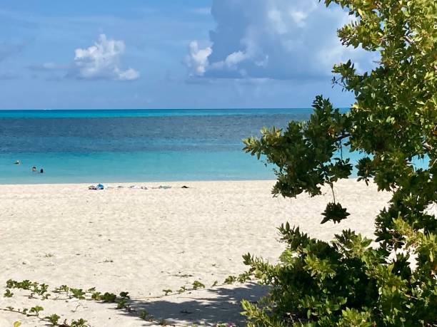 istock Bahamas- Ocean Cay 1418766336