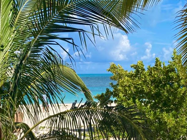 Bahamas - Ocean cay island