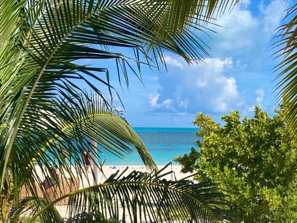 istock Bahamas- Ocean Cay 1418767188