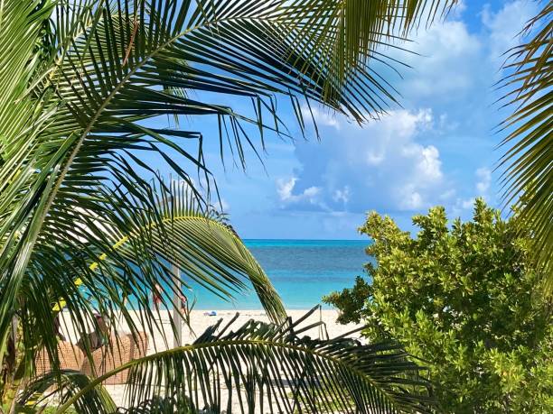 istock Bahamas- Ocean Cay island 1418767508