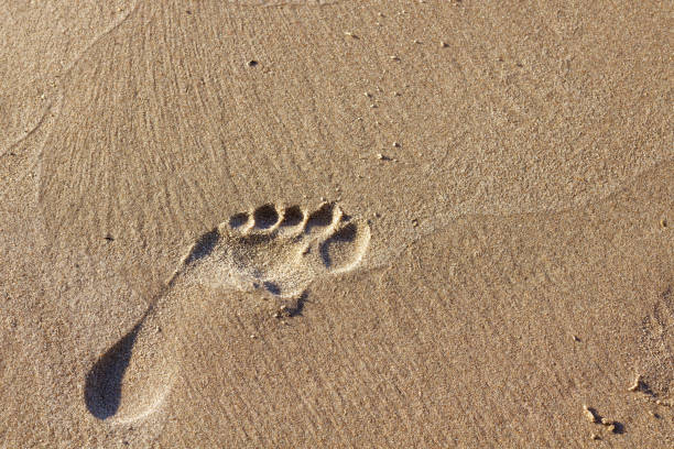 istock Closeup human footprint on sandy beach. Copyspace. 1418767744