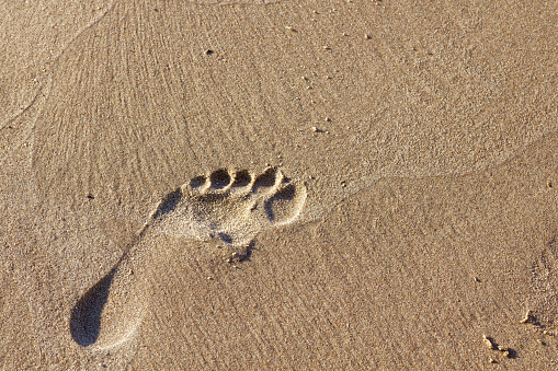 Closeup human footprint on sandy beach. Copyspace.