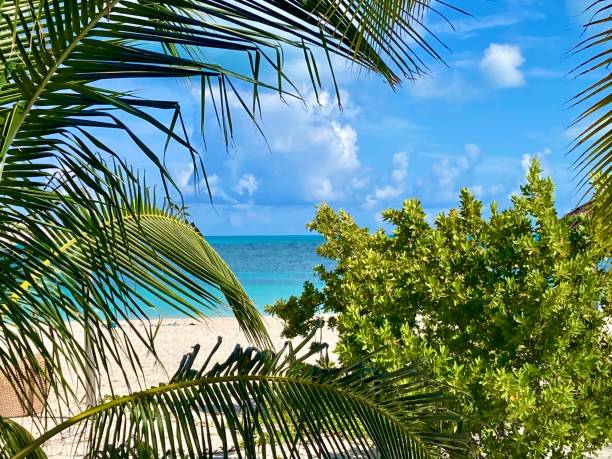 istock Bahamas- Bahamas island and beach 1418768618