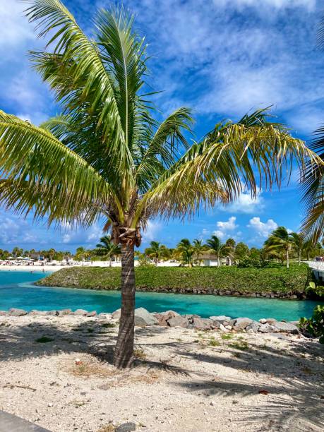 istock Bahamas - Ocean cay island 1418778827
