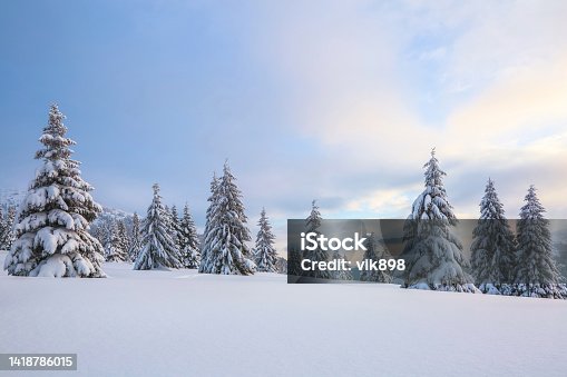 istock A panoramic view. Winter landscape. Christmas wonderland. Magical forest. Meadow covered with frost trees in the snowdrifts. Snowy wallpaper background. 1418786015