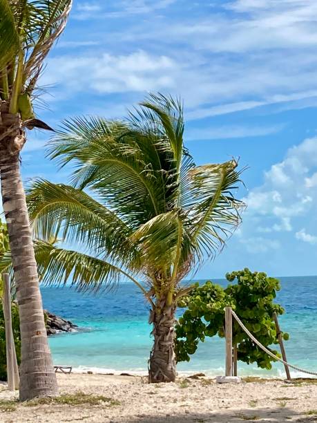 istock Bahamas - ocean cay Island 1418786431
