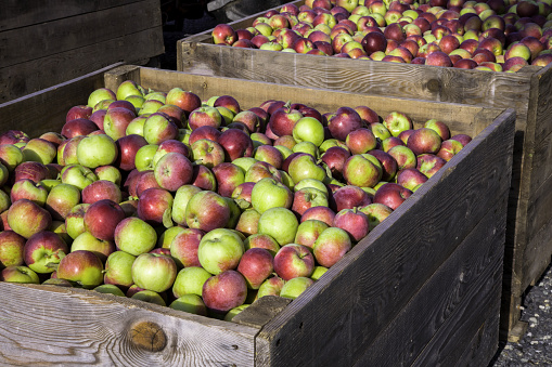 apple box fruit market fresh organic nutrition wooden box harvest