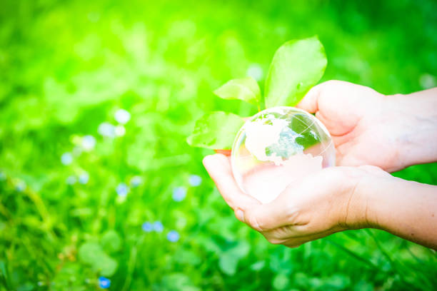 istock earth protection and sustainable ecology development 1418800120