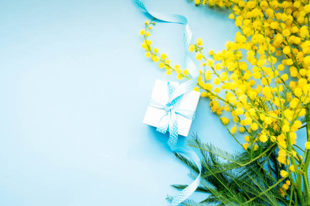 istock Mimosa flowers on blue background 1418800222