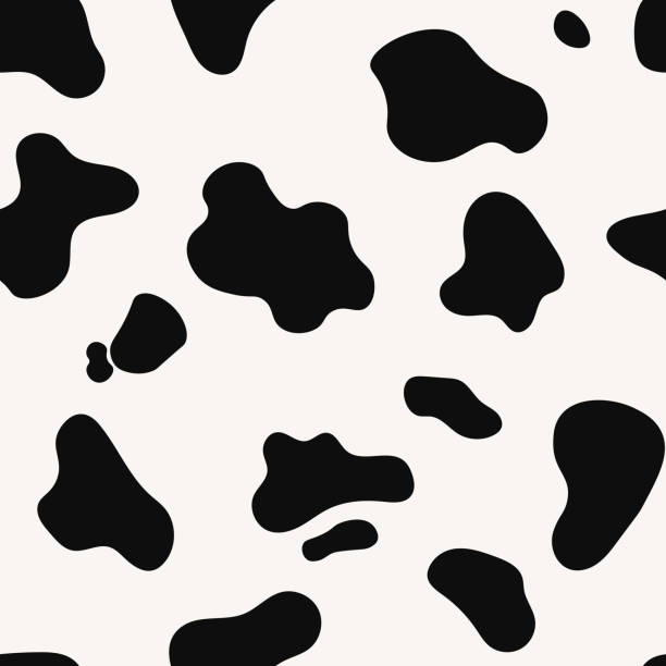 ilustraciones, imágenes clip art, dibujos animados e iconos de stock de patrón vectorial sin costuras de piel de vaca. plantilla de piel de animal. textura de vaca manchada en blanco y negro. - pattern hide beige textured