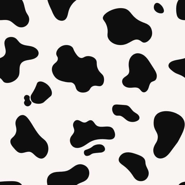 牛皮のベクターシームレスパターン。動物の皮膚テンプレート。黒と白の斑点を付けられた牛の質感。 - cow hide fur backgrounds点のイラスト素材／クリップアート素材／マンガ素材／アイコン素材