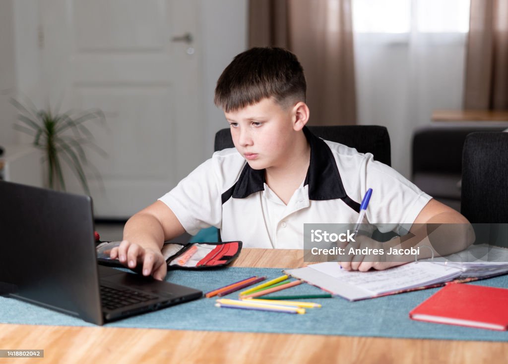 Schoolboy Using Computer Caucasian Boy Using His Computer While Doing Homework Stock Photo ...