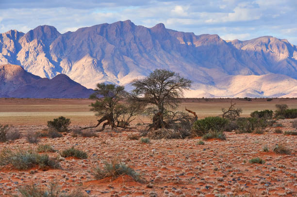 Beautiful landscape of Namibia stock photo