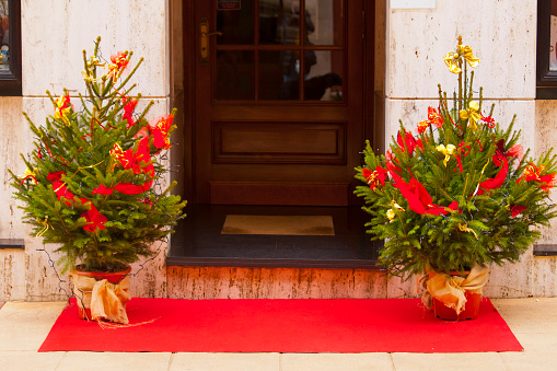 Front door Christmas decorations, Christmas trees.