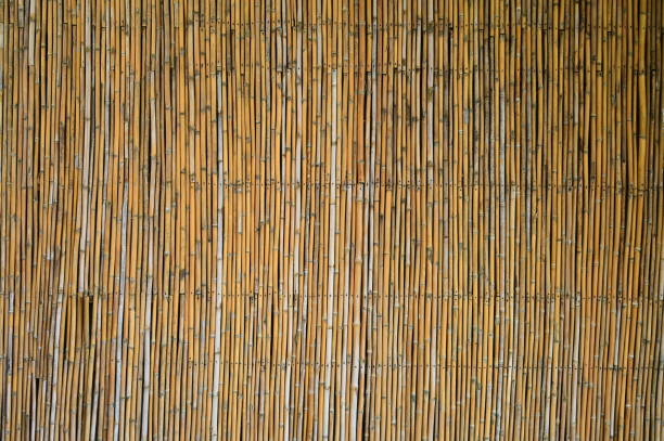 istock wooden bamboo wall background for interior design 1418805093
