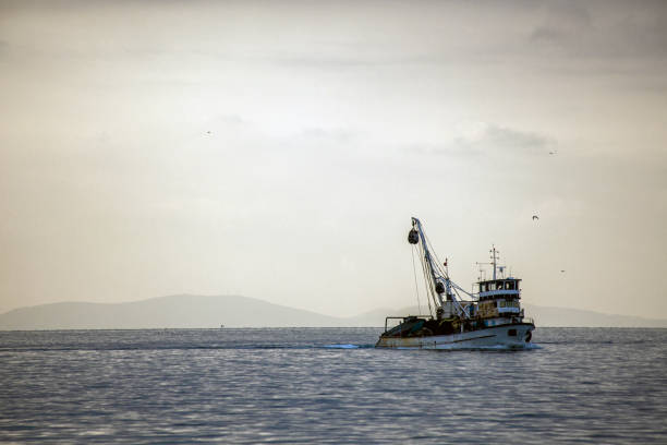 istock boats and ships 12 1418806474