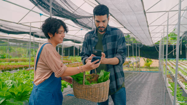 istock Asian Man Buying Vegetables from Hydroponic Farm and Making Payment. 1418808117