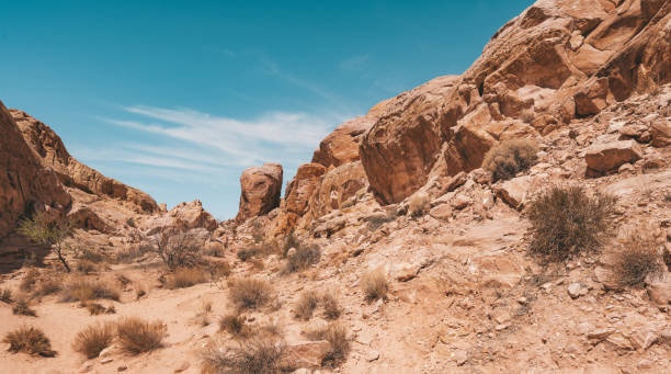 istock Valley of Fire landscape 1418811019