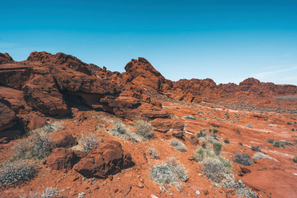 火の谷の景色 - nevada usa desert arid climate ストックフォトと画像