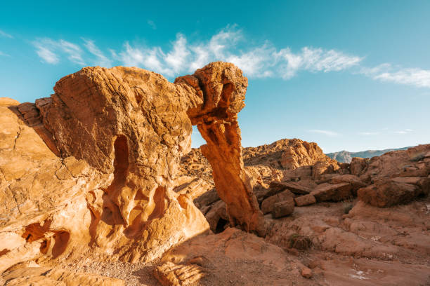istock Elephant rock at Valley of Fire 1418812001