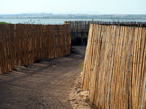 istock Reed fence. Beautiful design background. 1418812349