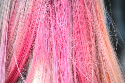 dyed hair of a girl at the festival of multicolor paints