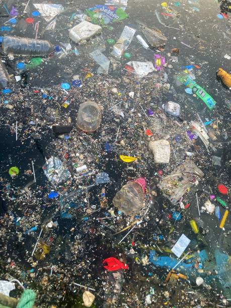 istock garbage and trashes covered  sea surface making pollution for marine life 1418815377