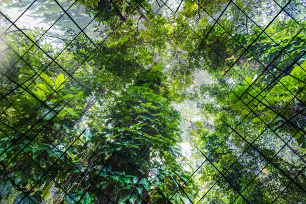 Go Green – Sustainable Resources – Green Building