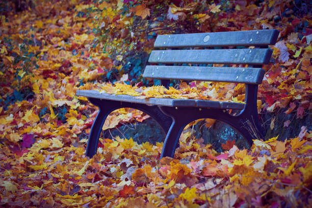 istock Park bench covered with leaves in Furth Germany 1418819284