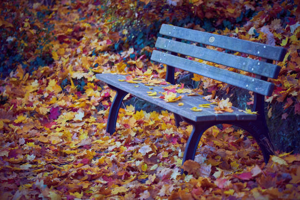istock Park bench covered with leaves in Furth Germany 1418819285