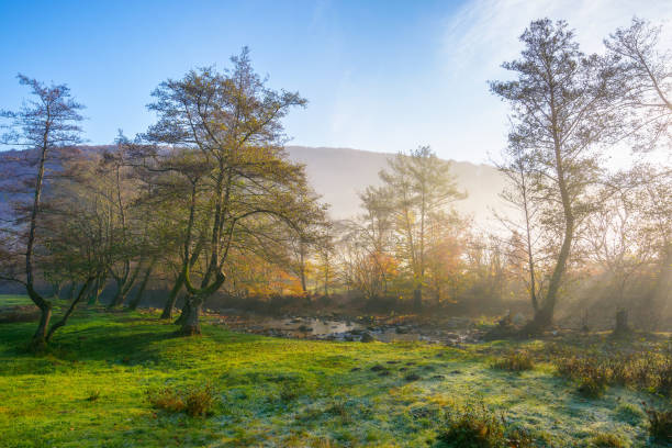 istock mountainous rural landscape on a misty sunrise 1418821977