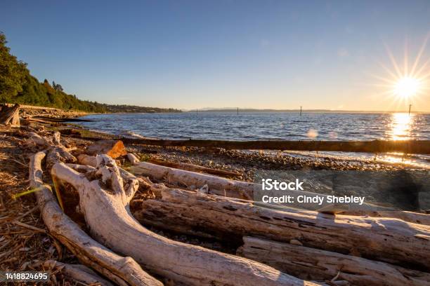 Pigeon Creek Shoreline Stock Photo - Download Image Now - Washington State, Beach, Everett - Washington State