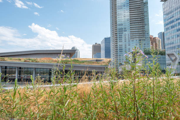 istock Sustainable Landscape Architecture, Native Wildflower Meadows on Convention Center Rooftops 1418824791