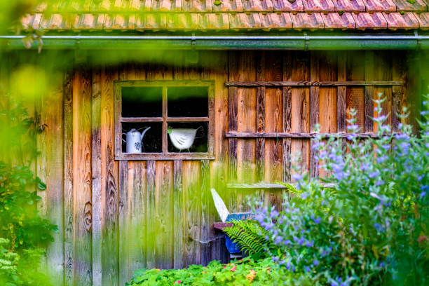 istock old wooden hut at a park 1418824825