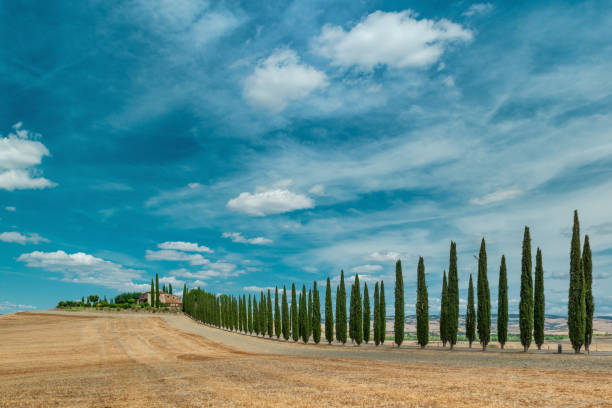 Italy. Tuscany. Hilly landscape of the beautiful southern Tuscany in summer.