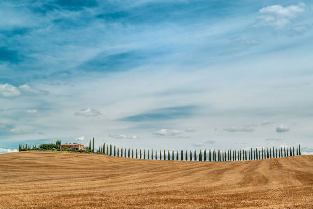 Italy. Tuscany. Hilly landscape of the beautiful southern Tuscany in summer.