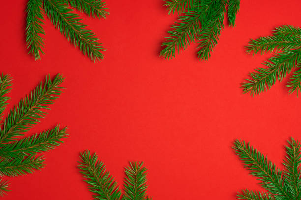 istock Christmas background. Frame made of fir tree branches on red background. 1418829633