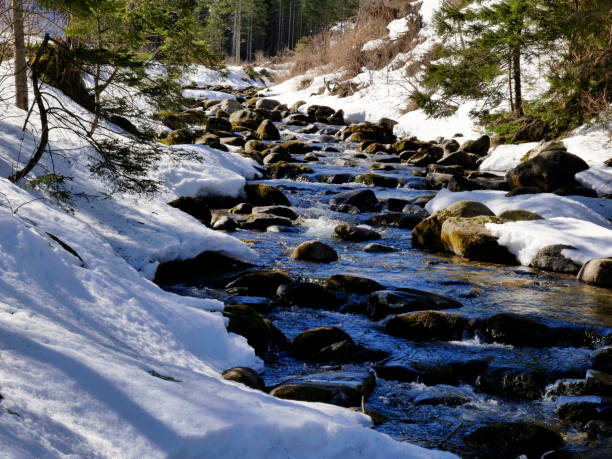 istock Early spring Mountain stream in the spring sun 1418830373