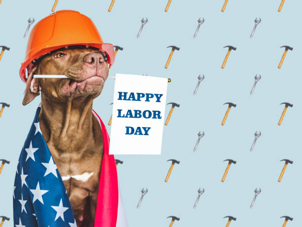 istock Lovable, pretty brown puppy and American flag 1418832908