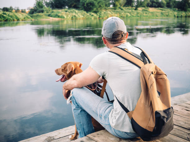 istock Charming, pretty brown puppy and attractive man 1418832952