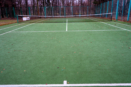 Tennis, Sports Court, Grass, Wimbledon, Backgrounds, Agricultural Field, Sports Field
