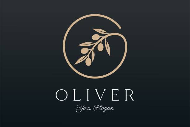 Twig Olive Oil logo template icon design Twig Olive Oil logo template icon design alphabet silhouettes stock illustrations