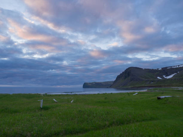 paisagem de verão selvagem do norte o sol da meia-noite, vista sobre belas falésias em hloduvik cove na natureza de fiordes do oeste reserva hornstrandir em islândia, com prado verde, praia da costa do mar, logs de madeira e o céu do sol, fundo rosa az - bech - fotografias e filmes do acervo