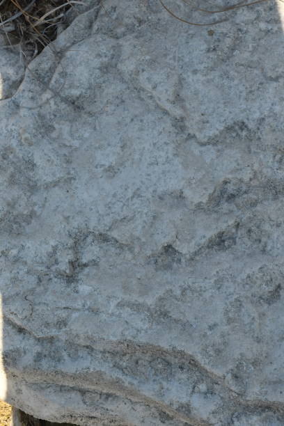 istock Dinosaurs' Footprints, Glen Rose, Texas, Part III 1418840681