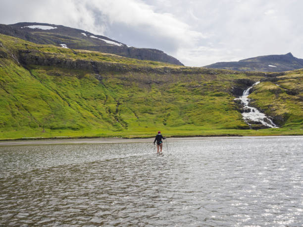 Hiker woman with trekking poles in jacket, purple hat and bare legs crossing river in Iceland Hornstrandir on trek to Hornbjarg cliff, waterfall and green hills in background. Hiking and leisure theme mujer excursionista con bastones de trekking en chaqueta, sombrero púrpura y piernas desnudas cruzando el río en islandia hornstrandir en la caminata al acantilado de hornbjarg, cascada y colinas verdes en el fondo. tema de ocio de senderismo