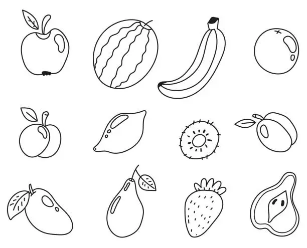 Vector illustration of Fruits line doodle outline art food pictogramme isolated design element illustration set collection