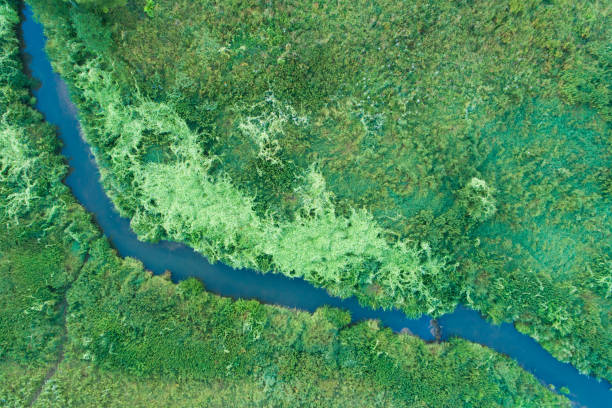 istock Aerial landscape view over the river, Russia 1418844551