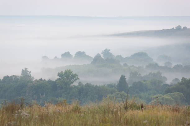 Morning fog at countryside landscape