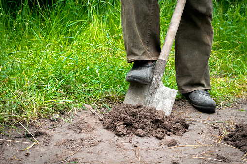 Close up of man legs digging soil, ground with shovel in rubber boots in garden.